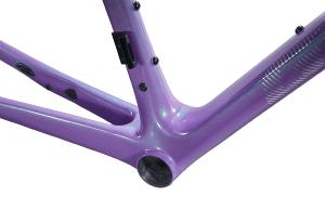 Kit Cadre Route GIANT TCR Advanced SL Disc Digital Purple