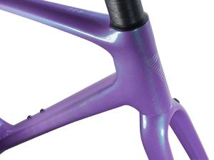 Kit Cadre Route GIANT TCR Advanced SL Disc Digital Purple